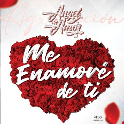 Me enamoré de ti album art
