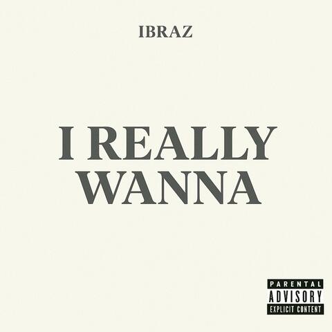 I Really Wanna album art