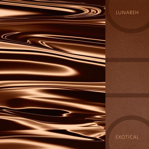 Exotical album art