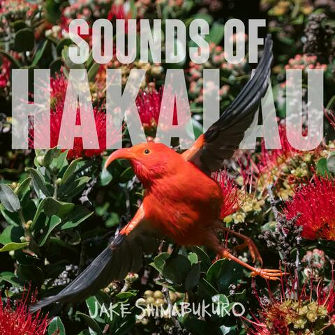 Sounds Of Hakalau album art