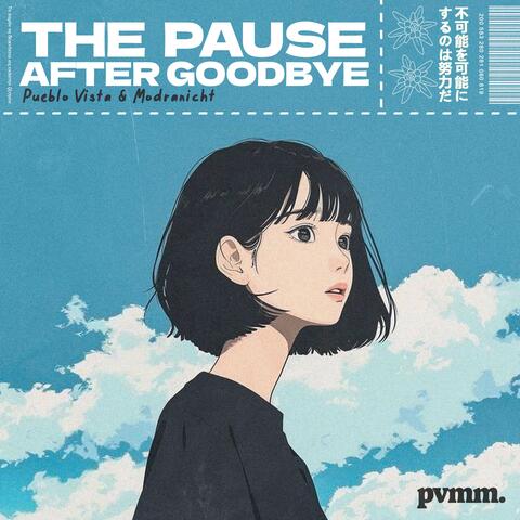 The pause after goodbye album art