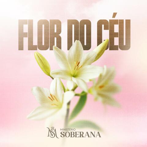 Flor do Céu album art