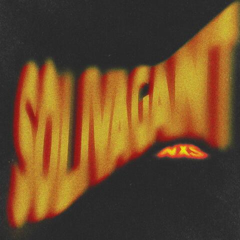 Solivagant album art