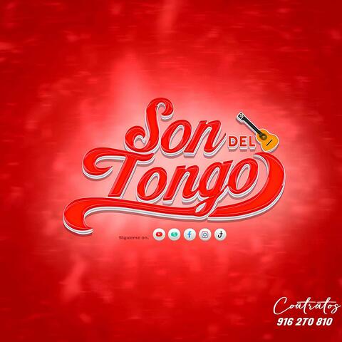 Busco Tu Amor album art