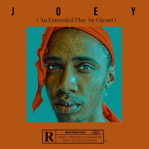 Joey album art