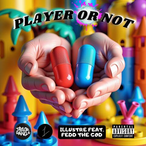 Player Or Not album art
