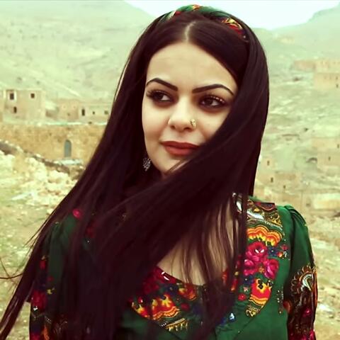 Baran Barî album art