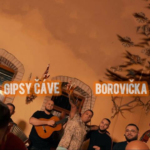 Borovička album art