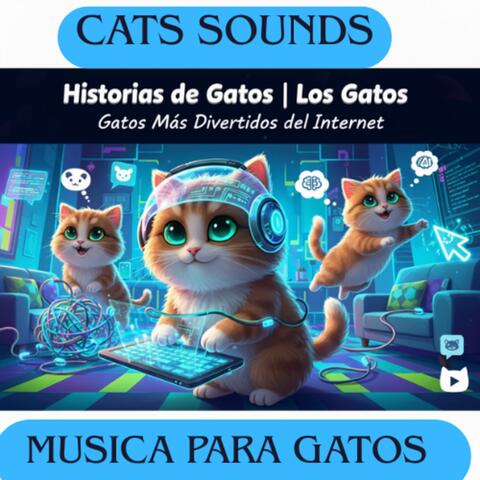 historias de gatos | los gatos mas divertidos de internet |  cats sounds album art