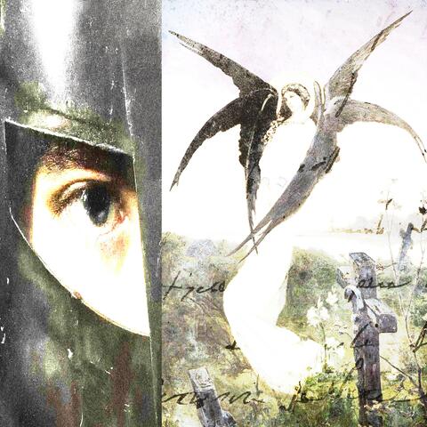 pain paintings album art