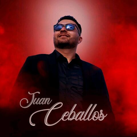 Sin Un Adios album art