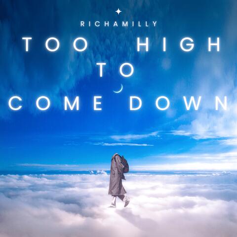 Too High To Come Down album art