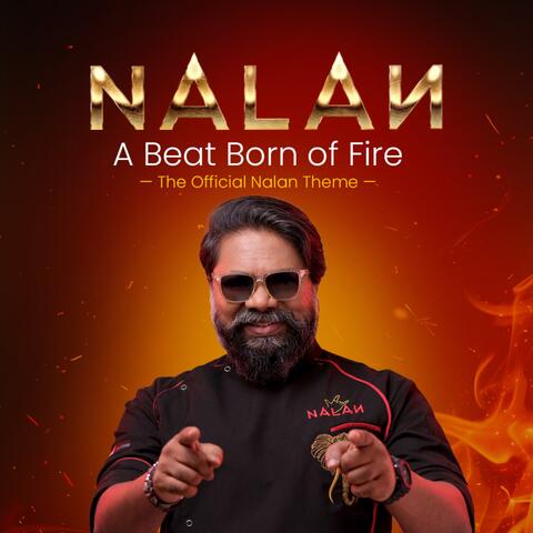 Nalan - A Beat Born Of Fire album art
