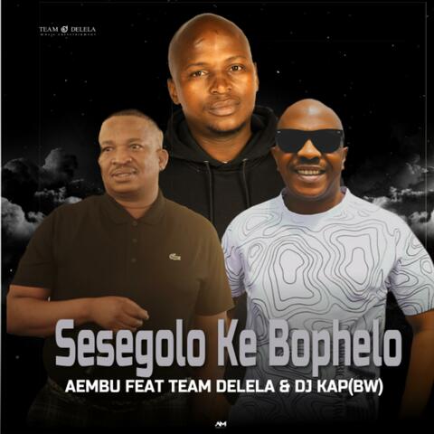 Sesegolo Ke Bophelo (feat. Team Delela & DJ KAP & BLAQ MAJOR) album art