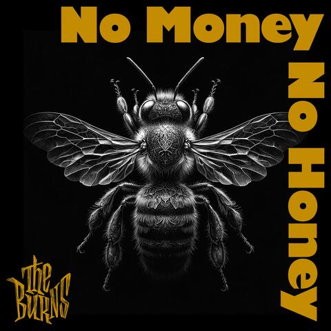 No Money, No Honey album art