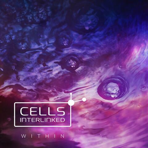 Within album art