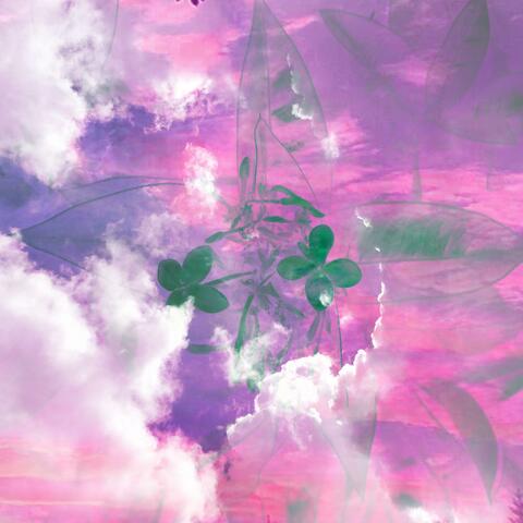 HEARTBOX II album art