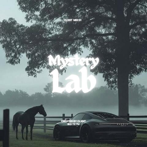 Mystery lab album art