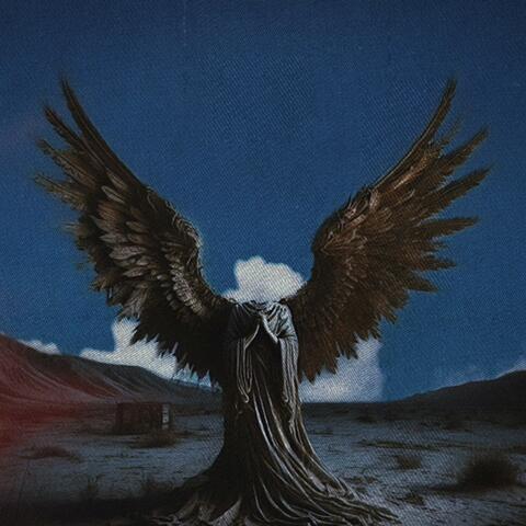The Wounded Angel album art
