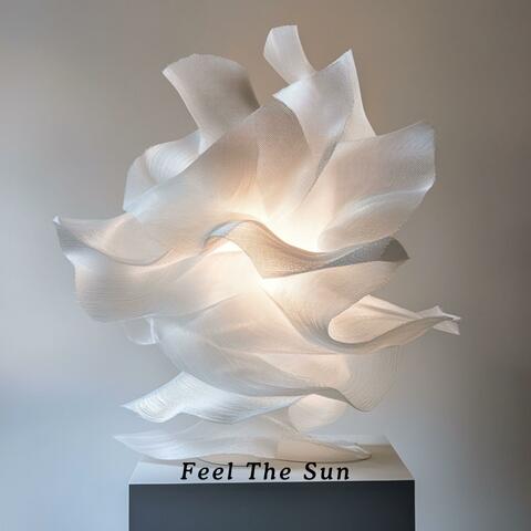 Feel The Sun album art