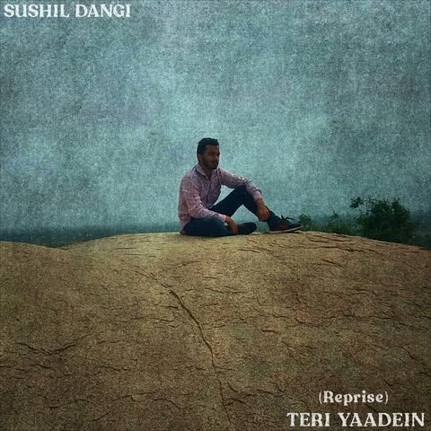 Teri Yaadein album art
