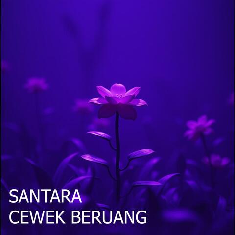 CEWEK BERUANG album art