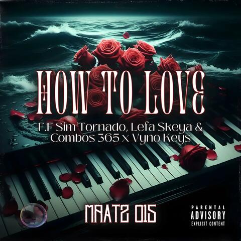 How To Love (feat. Sim Tornado & Combos365) album art