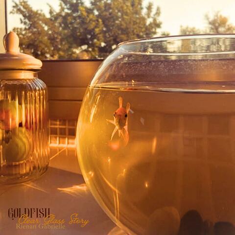 Goldfish album art