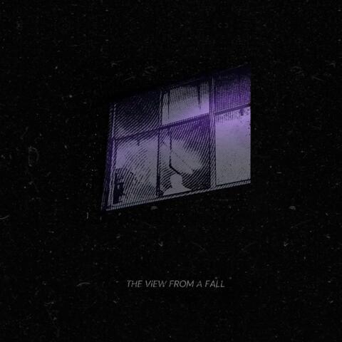 The View From a Fall album art