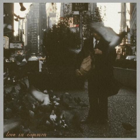 love in common album art