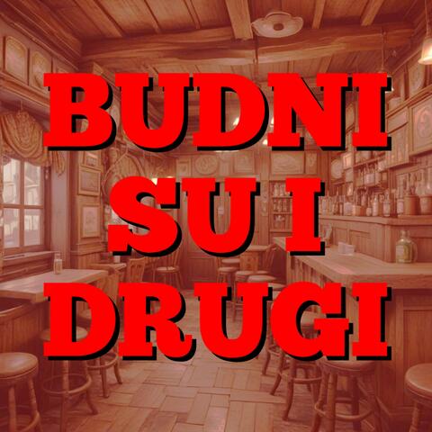 Budni su i drugi album art