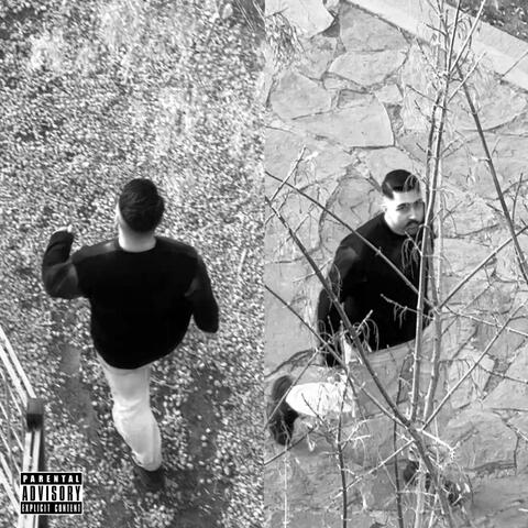 Savage album art