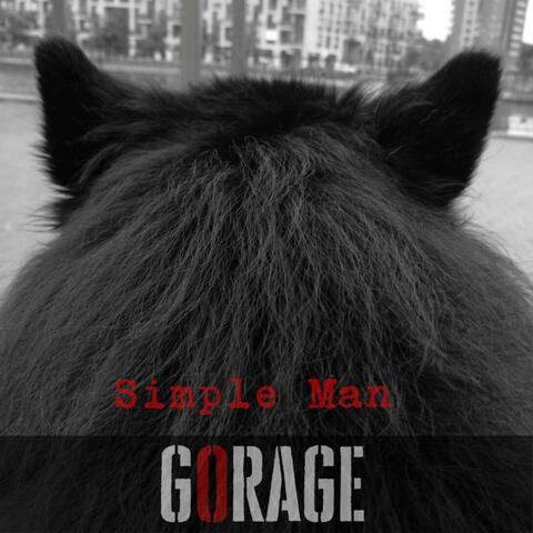 Simple man album art