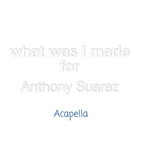What Was I Made For album art