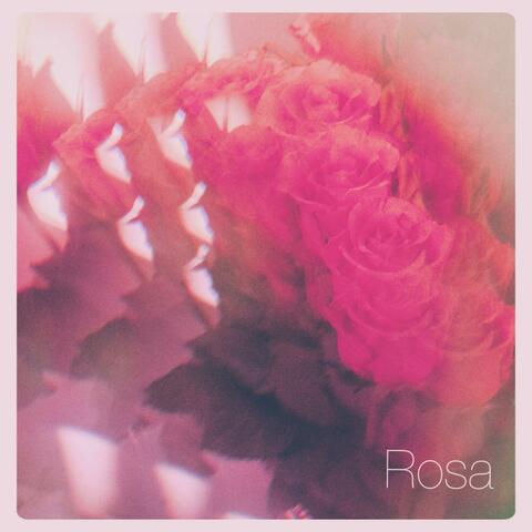Rosa album art