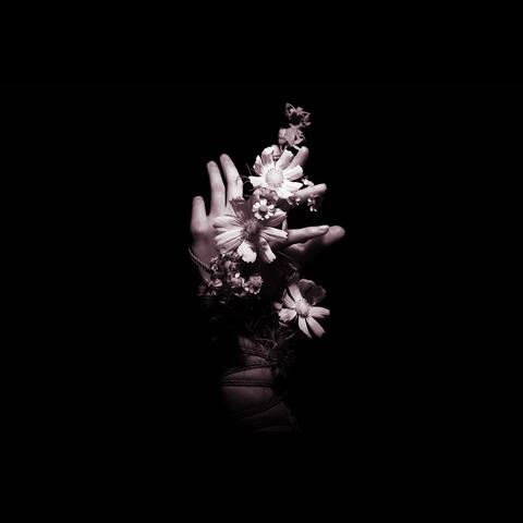 Not Like Us album art