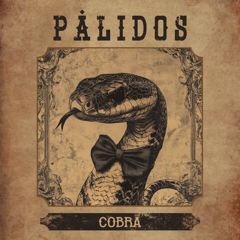 Cobra album art