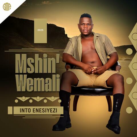 Into Enesiyezi album art