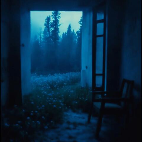 only to be forgotten album art