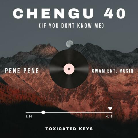 Chengu 40 album art