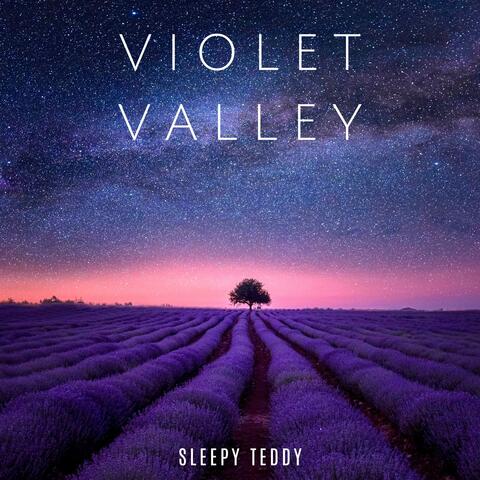 Violet Valley album art