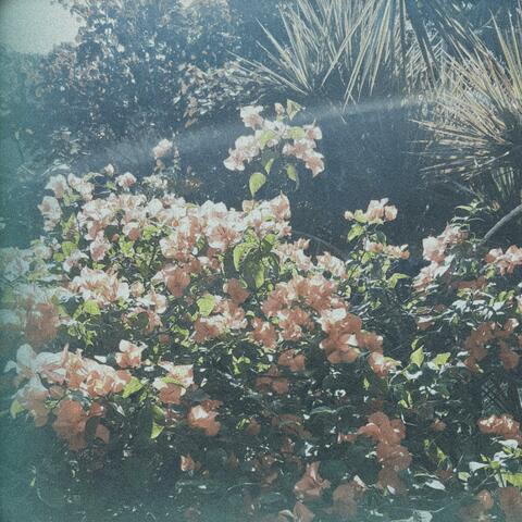 the glow in her eyes album art