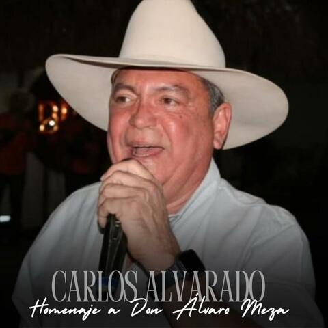 Homenaje a Don Álvaro Meza album art
