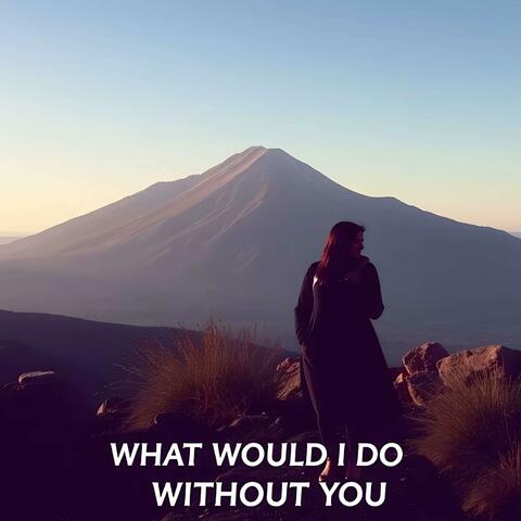 WHAT WOULD I DO WITHOUT YOU album art