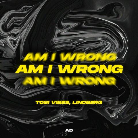 Am I Wrong album art