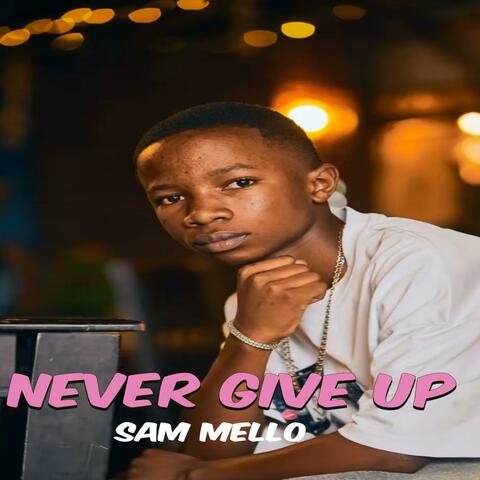 Never Give Up album art