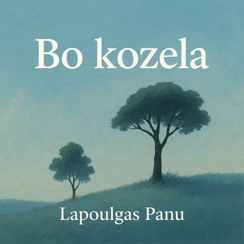 Bo kozela album art
