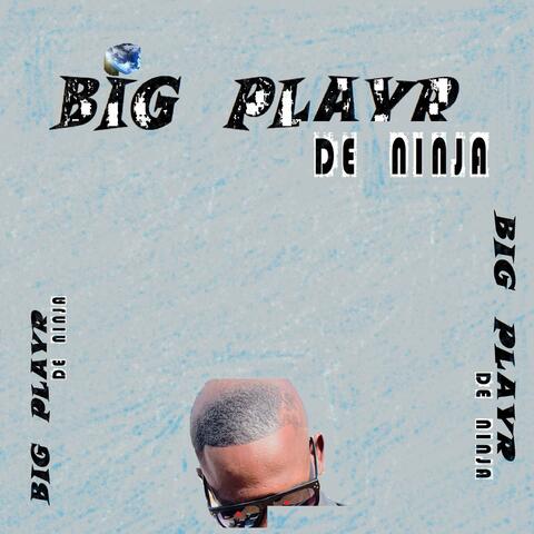 BiG Playr album art