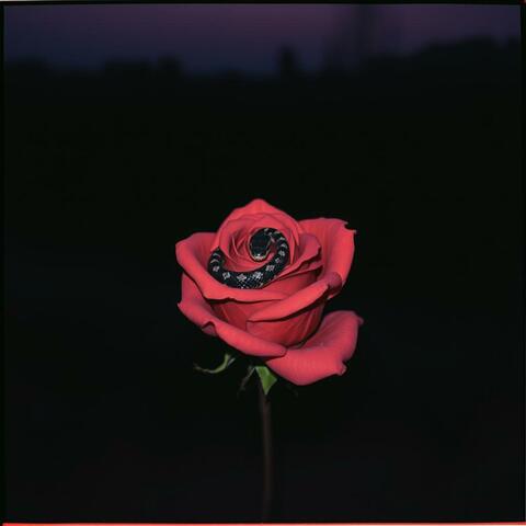 Poisonous Love album art