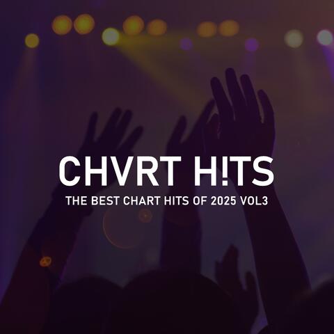 THE BEST CHART HITS OF 2025, Vol. 3 album art